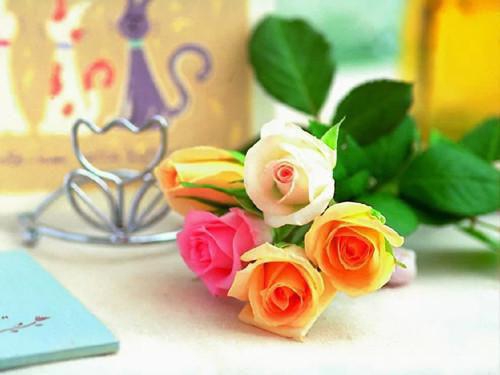 许辛瑜霍晏(许辛瑜霍晏)全文免费阅读无弹窗大结局_(许辛瑜霍晏全文免费阅读无弹窗)许辛瑜霍晏小说最新章节列表(许辛瑜霍晏)