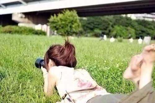 本宫摆烂后，全皇族跪地痛哭沈晚裴砚卿小说(完整)免费阅读