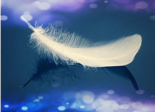 看飞絮吹乱烟雨：后续小说全文+番外首发小说 程予桉孟清慈林微澜在线阅读