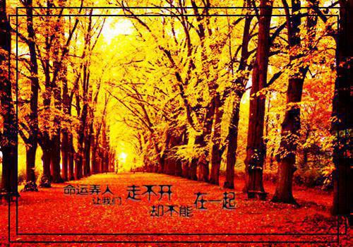 徐言是什么小说 徐言全本免费阅读