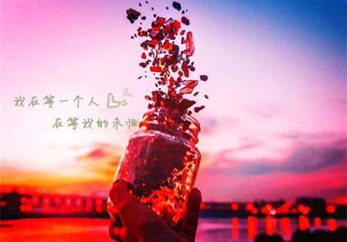 江春雪小说章节免费阅读 江春雪无弹窗