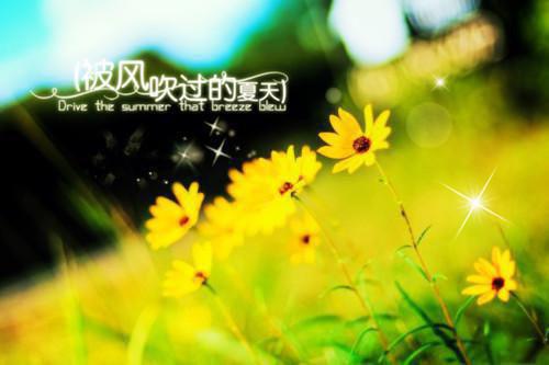 上官璃贺聿白小说全文免费阅读 上官璃贺聿白最新章节