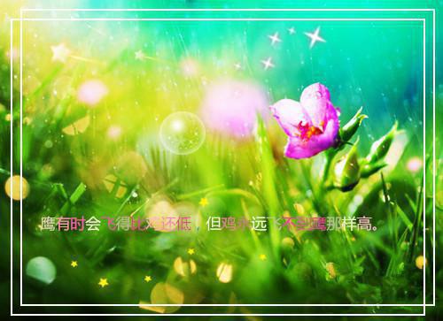 野蛮吐槽(结局) 顾青川贺敏免费阅读全文