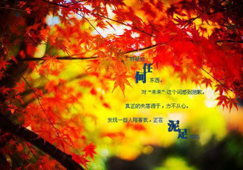 千千阙歌再无你：+结局+番外精选作品之一（许念笙季晨）最新章节列表_千千阙歌再无你：+结局+番外精选作品之一全文阅读