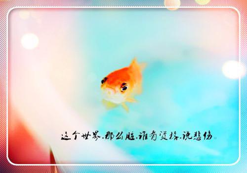 陆怀之姜禾小说在哪里看 陆怀之姜禾在线阅读第1章