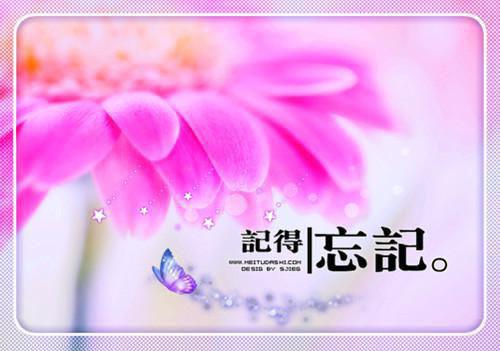 江临渊季芸鸢免费全文 江临渊季芸鸢小说在线阅读