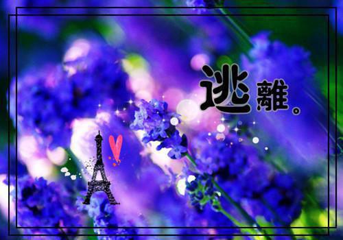 唐萱唐苒全文阅读 唐萱唐苒小说最新章节