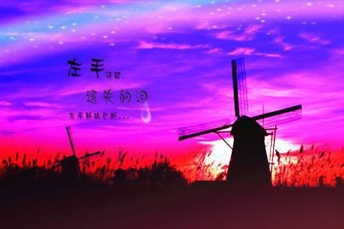 我的妻子不对劲免费章节抢先阅读