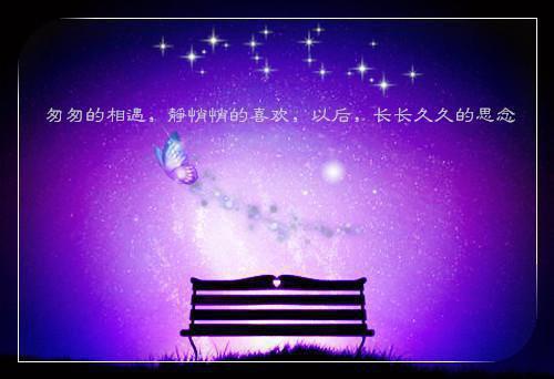 主角名是季锦诗晏洛屿全文免费阅读正版