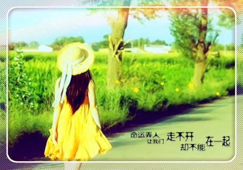 冥王夫君斩断我神骨，我跳忘川后他疯了万九尘羲玄小说最新章节(在线阅读)