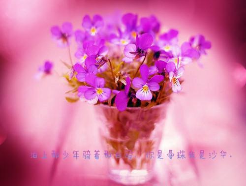宋黎乔旭东免费阅读无弹窗 宋黎乔旭东最新章节