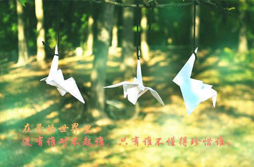 恶毒男配开挂了姜敏敏姜轩全文阅读(完整版)