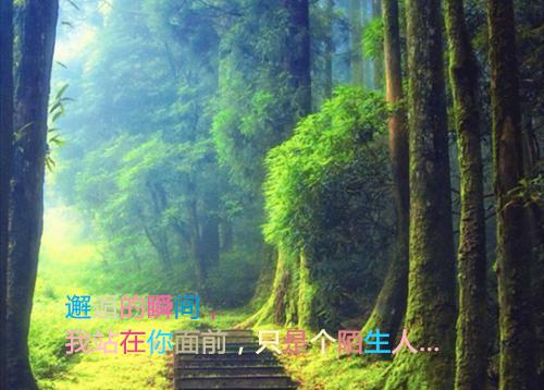 妈宝男老公让婆婆替我新娘李桂花顾宇航小说在线阅读