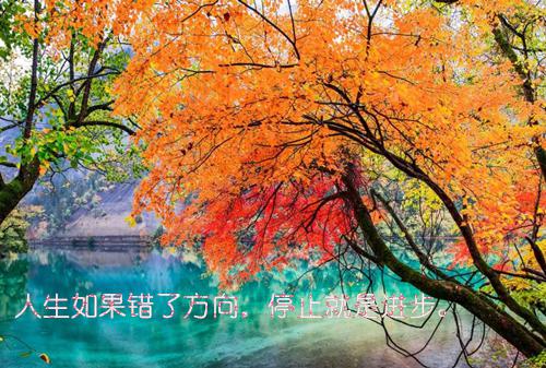乔渊付阳结局是什么 乔渊付阳免费阅读全文