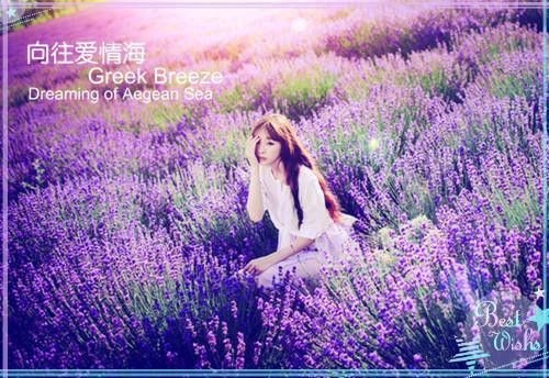 官路青云天骄叶阳余秋水小说小说 叶阳余秋水在线阅读第九章