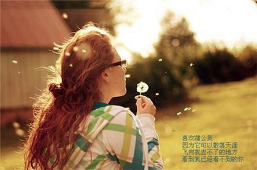 (抖音小说)沈妄江晚吟免费阅读第一章