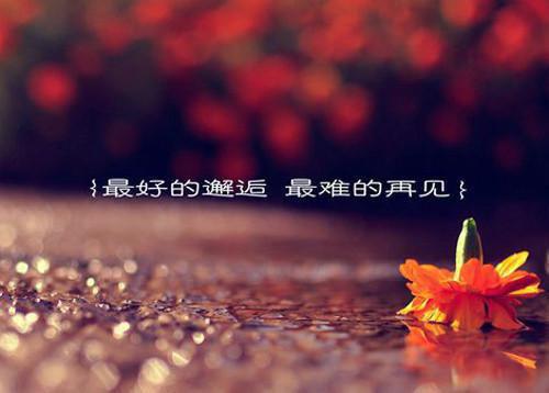 (番外)+(全文)阮雾梨闻砚辞（阮雾梨闻砚辞：无广告+大结局）完整全文在线阅读_阮雾梨闻砚辞免费阅读最新章节列表_笔趣阁（阮雾梨闻砚辞：无广告+大结局）