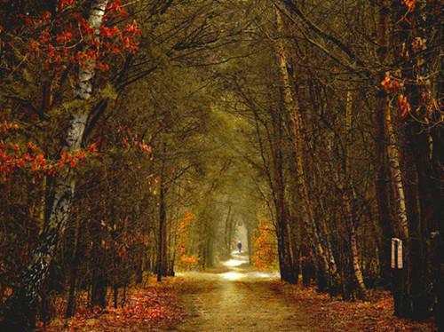 六零极品老头：我把不孝子全踢了免费阅读张来富张牡丹小说第7章