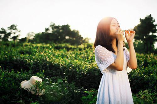 苏御李天昊小说最后结局 苏御李天昊完结版免费阅读