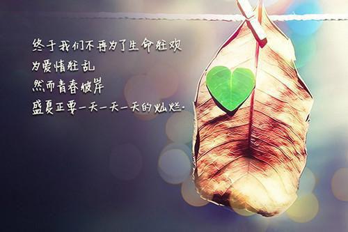 方流年免费完结版 儿子不订学生奶被针对后，我带着军区杀进学校方流年小说阅读