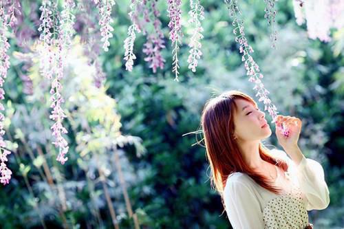 人面桃花长相忆（闻砚辞阮雾梨）已完结，人面桃花长相忆已完结