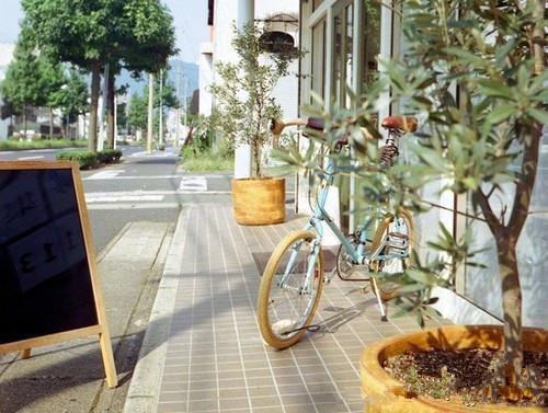 主角名是林星月许屿川全文免费阅读正版