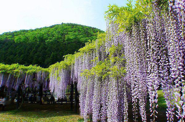 重回高考前,让我抽签回老家的装穷父母悔疯了免费试读 陈云聪小说