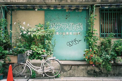 过期情深，迟爱难解(林清妙沈泽俢)无弹窗阅读