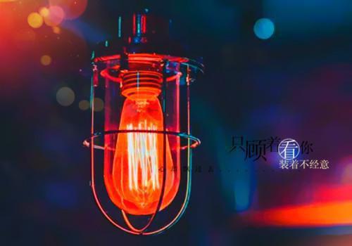 秦慕芸沈叙免费大结局 侯府的荣耀完结小说