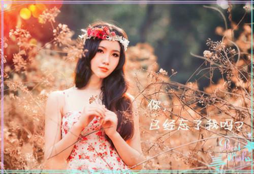王勐谢驰阳小说 公婆和老公陪女秘书玩弹珠游戏后，他们疯了章节阅读