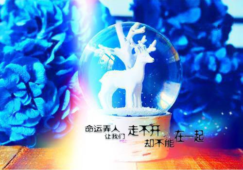 重生后手撕会转移病痛的实习生结局秦玥玥陈兰兰小说在线免费阅读(大结局)
