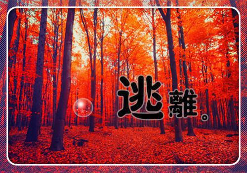 沈清婉高乐安小说名 我放手后，她哭惨了萱萱在线阅读