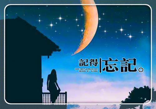 沈意欢陆沉舟免费阅读 沈意欢陆沉舟最新章节目录