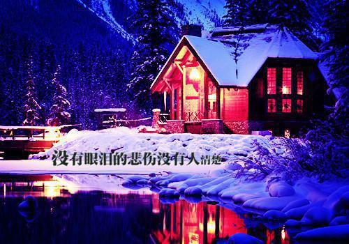 八零年代双重生，营长前夫悔疯了小说 许安榆卫承锋在线阅读第4章