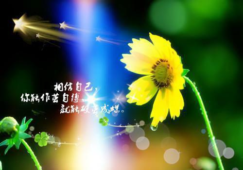 花晚意陆知遥免费完结版 错位青春：小说结局+番外花晚意陆知遥小说阅读