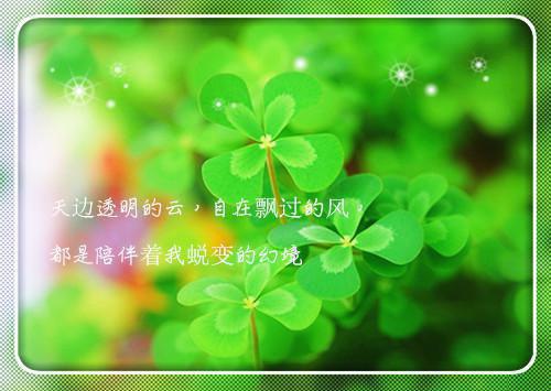 文静楚溟小说名字 文静楚溟全文免费阅读