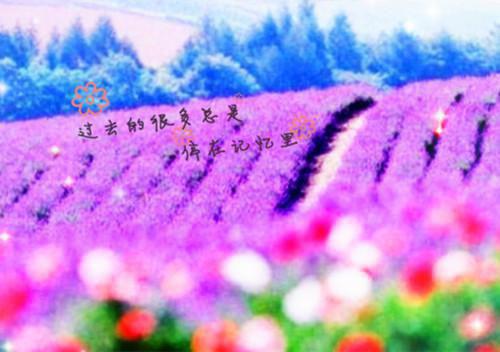 (番外)+(全文)爱如尘埃，不吹亦散：全文+番外免费下载阅读_(顾时宴姜柔)爱如尘埃，不吹亦散：全文+番外（顾时宴姜柔）免费阅读最新章节
