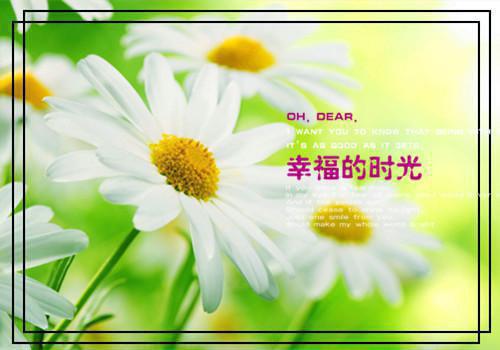 改嫁痴情神棍竹马后,童养夫他后悔了(完整版)全文免费阅读赵远林若涵小说