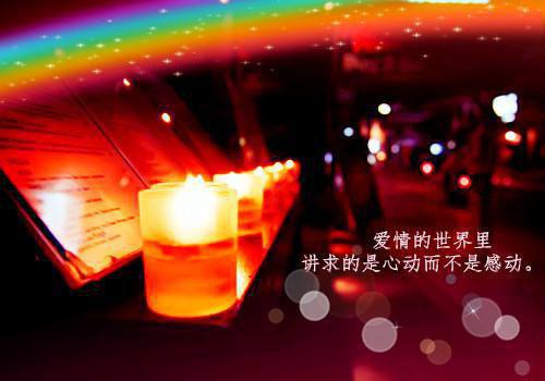 许静禾陈卫疆是什么小说 许静禾陈卫疆全本免费阅读