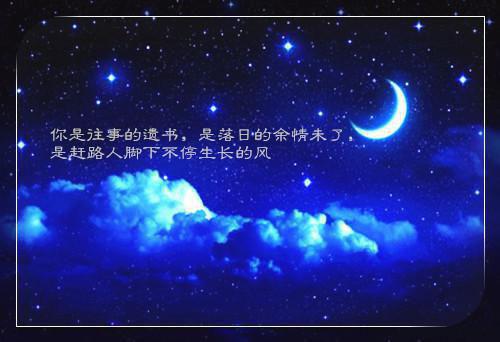 万族掠夺者苏寒夜无痕小说(完整)免费阅读