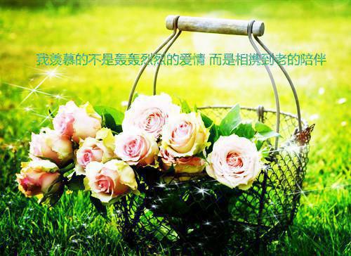 妹妹顶替我的命格嫁入侯府后，我杀疯了免费无弹窗 王珞瑜阿桑裴少卿小说阅读