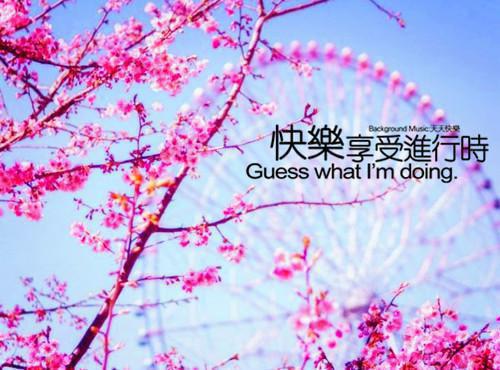 完结文佛心不渡红尘劫：完结+番外最新章节列表_完结文佛心不渡红尘劫：完结+番外全文免费阅读（云狸越渊）