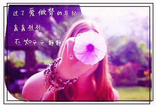 不属于我的注定向清雅贺鸣谦免费章节试读