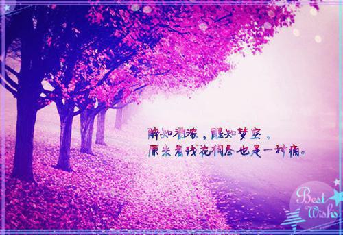沈见羽楚彬儋小说(楚彬儋沈见羽)（沈见羽楚彬儋）完整章节列表_笔趣阁