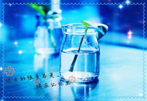 陆奉行萧念窈是啥小说 陆奉行萧念窈免费阅读无广告
