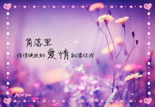 不再阻止老公救白月光后，他疯了免费阅读孟莲秦简小说第二章