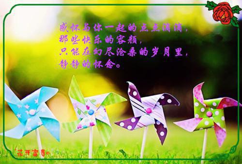 顾允廷宋卿落：已完结_顾允廷宋卿落：最新章节列表