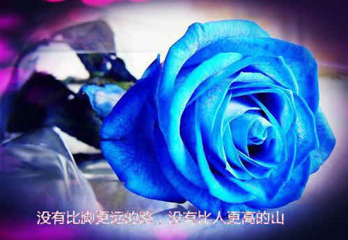 林成俊陈涛完整版 林成俊陈涛小说全文在线阅读