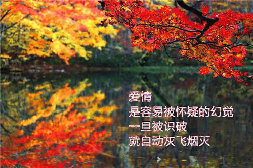 我哥女友生抢我钻石项链后十六文 陈浅浅贺知州小说