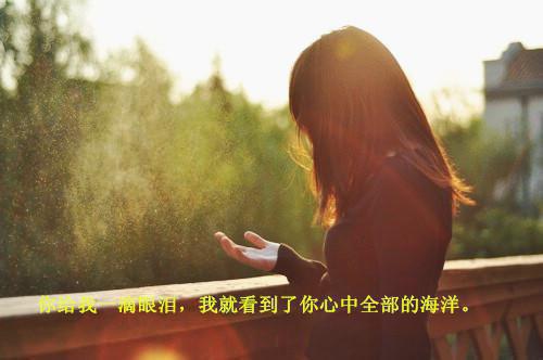 谢博容赵晚吟小说全文阅读 谢博容赵晚吟第三章